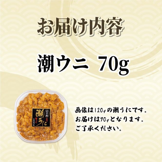 上物 潮ウニ 70g 冷凍 ミョウバン不使用 雲丹 寿司 汐うに 塩うに 海鮮 魚貝類 魚介類 キタムラサキウニ 小分け 塩水 天然 刺身 ウニ丼 ご飯 白米 おつまみ 三陸産 岩手県 大船渡市 [kakehata009]