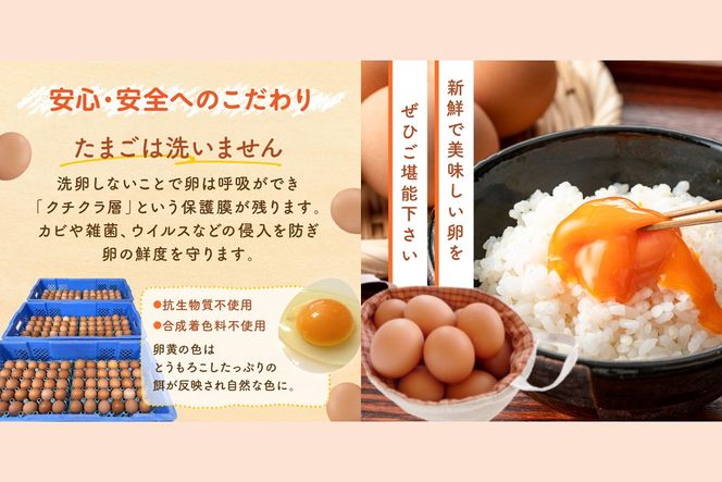 【J3-015】テトラエッグ(40個/月)【12ヵ月定期便】