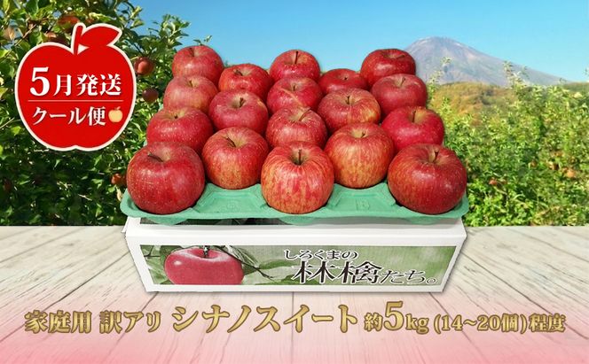 【5月発送クール便】 白熊 訳アリ家庭用シナノスイート 約5kg スマートフレッシュ 糖度13度【青森りんご 果物 フルーツ 果物類 デザート 食後 おやつ 青森のりんご 】