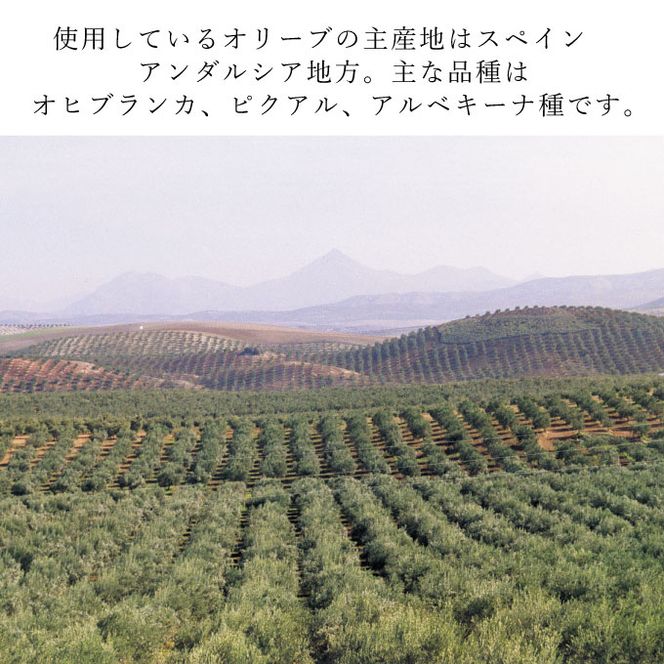 オリーブオイル エキストラバージン オリーブ オイル 5L バジェステル 調味料 油 オリーブ油 食用油 