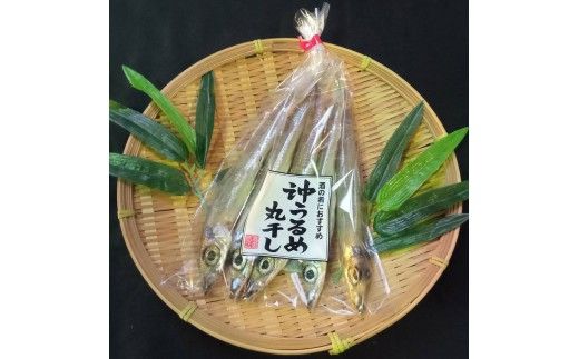 高見商店干物詰め合わせセット 高知 高知県 土佐市 こうち 返礼品