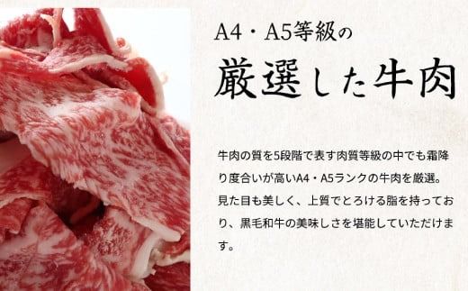 熊野牛 A4以上 霜降り 赤身 こま切れ 500g 【uot747】