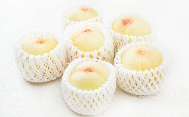 桃 2026年 先行予約 白桃 6玉（1玉250g以上）化粧箱入り もも モモ 岡山県産 国産 フルーツ 果物 ギフト