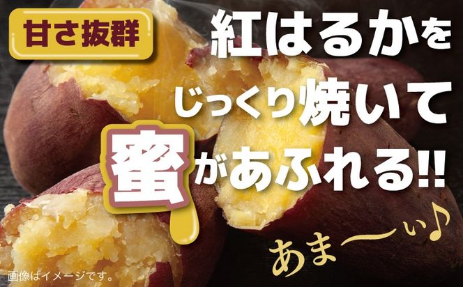 005A654 【特別規格】芋匠さのやのお芋スイーツ お芋ブリュレ 2個 お試し