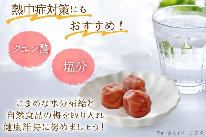 小梅 箸が止まらない】はちみつ風味 干し小梅 200g×3 [山梨農産食品