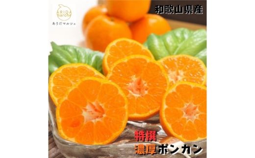 極甘 柑橘 特撰 濃厚 ポンカン 3kg+200g(傷み補償分)