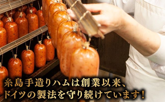 【全12回定期便】【本場ドイツで連続金賞受賞】特選 ギフト セット 6種 詰め合わせ （ ハム / ソーセージ / ウインナー） 糸島市 / 糸島手造りハム [AAC027]