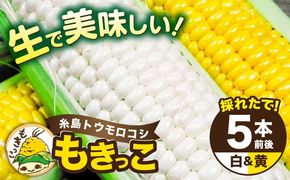 【先行予約】糸島産 トウモロコシ 「もきっこ」 白黄ミックス (5本前後) 【2026年6月下旬以降順次発送】糸島市 / 内田農業 とうもろこし コーン [AZH006] とうもろこし 野菜 コーン スイートコーン 甘い ホワイト 白 トウモロコシ