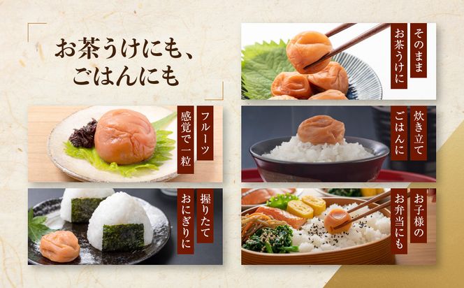 紀州南高梅 プレミアム 塩分約3％ 850g ［YM12］ 303446_DX90015