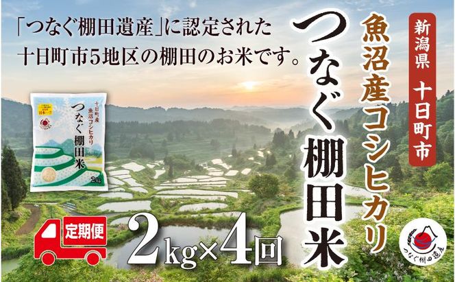 【令和8年産 先行予約】【定期便／全4回】精米2kg　新潟県十日町市魚沼産コシヒカリ「つなぐ棚田米」 米 こしひかり 精米 定期 十日町市