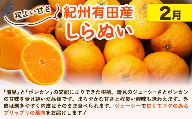 【発送月固定定期便】紀州 和歌山産 旬の ご家庭用 柑橘 セット (みかん 不知火 清見)【全３回】選べる 計16kg 計23.5kg 株式会社魚鶴《2027年1月上旬-4月上旬頃出荷》 和歌山県 日高川町 オレンジ 柑橘 蜜柑 果物 訳あり 送料無料 定期便---wshg_uotteik2_25_36000_mo3num1---