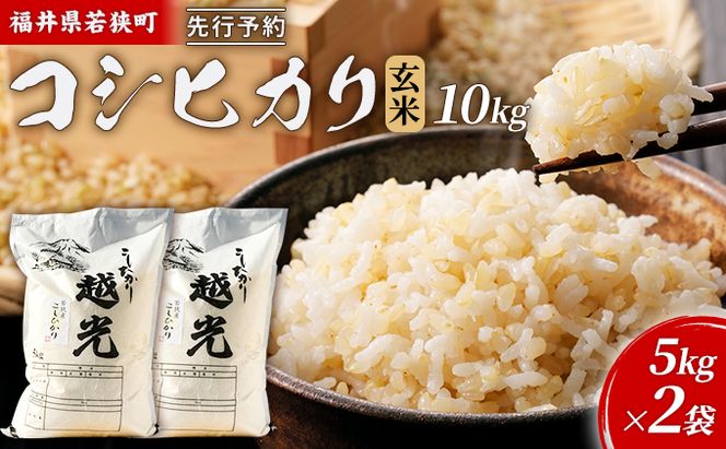 【10月お届け】令和8年産 若狭町コシヒカリ玄米10kg 米 お米 こしひかり 福井県