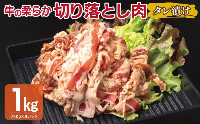 y{򍲖szG3388  ؂藎Ƃ ^Ђ v1kgyt  Ă ȒP BBQ  250g×4܁z
