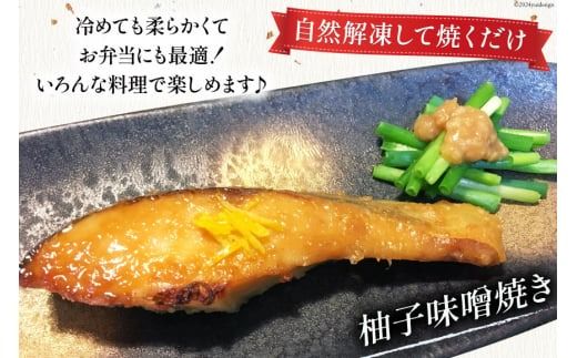 3回 定期便 鮭 切り身 塩銀鮭パック 3切 ×3袋 ×3回 総計9袋 [たみこの海パック 宮城県 南三陸町 m304amh560045] サーモン 銀鮭 塩銀鮭 シャケ 切身 さけ サケ 国産 小分け 個包装 冷凍