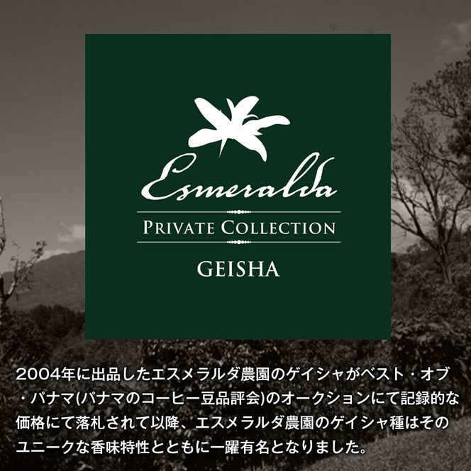 【淡路島珈琲１５７】定期便 パナマエスメラルダ ゲイシャ ナチュラル 中煎り 豆のまま 180g×2個 