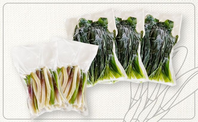 行者にんにく グリーン行者 葉部 3袋 ホワイト行者 茎部 2袋 計5袋 オンライン 申請 ふるさと納税 北海道 中標津 行者ニンニク 幻の山菜 山菜 山の幸 野菜 疲労回復 健康効果 長寿 体力増強 ダイエット 焼肉 炒め物 おかず 冷凍 中標津町【20010】