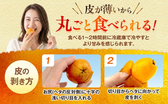 【2027年発送・先行受付】 【化粧箱入り】 沖縄産びわ (500g・9玉入り) フルーツ 果物 ギフト お取り寄せ 沖縄産 沖縄市 / ちゃんぷる〜市場[BCAA008]