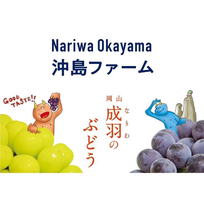 2026年 早期受付 ぶどう シャインマスカット 約2kg（3～4房）岡山県高梁市産 沖島ファーム 化粧箱入り 葡萄 ブドウ 贈答用