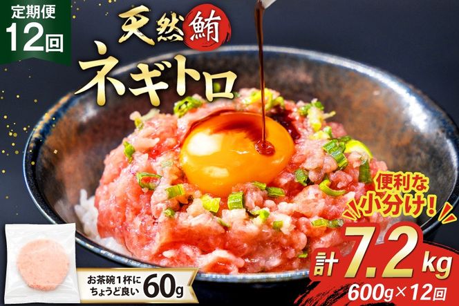 12回 定期便 天然 マグロ ネギトロ まぐろたたき 冷凍 60g 10個 計600g [トライ産業 静岡県 吉田町 22424391] 小分け 個包装 まぐろのたたき 鮪 まぐろ ネギトロ丼 ねぎとろ マグロたたき