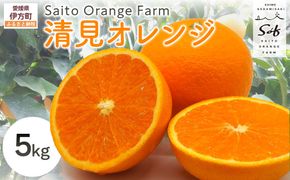 【先行予約】Saito Orange Farmの訳あり清見オレンジ5kg（2026年3月中旬頃より順次発送） IKTAQ009