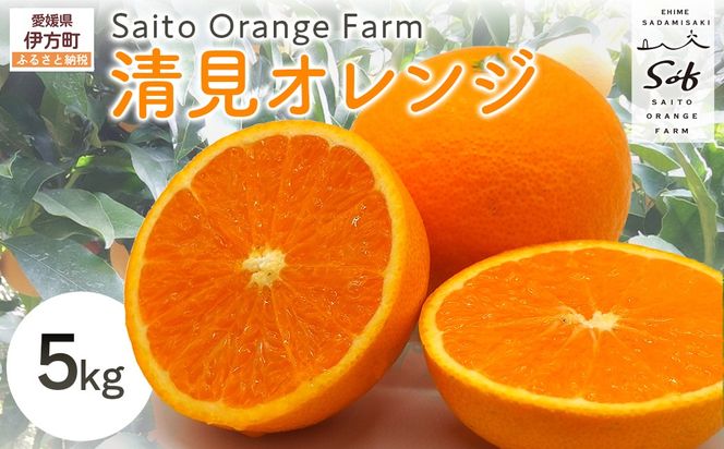 yQɕzys\zSaito Orange Farm̖󂠂萴IW5kgi2026N3{菇j IKTAQ009