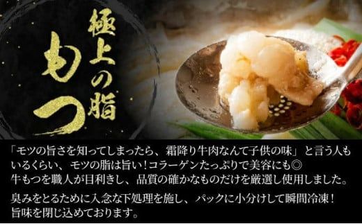 5～6人前 絶品塩もつ鍋セット（600g）