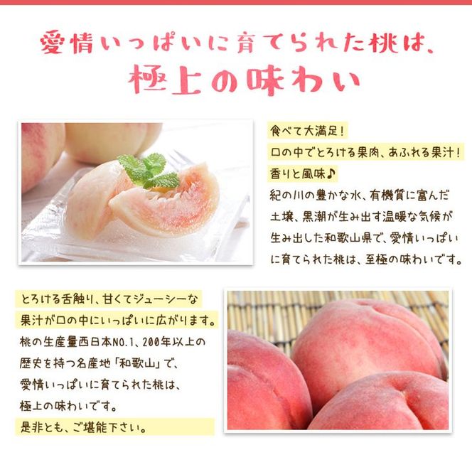 【先行予約】【夏の美味】フルーツ王国 和歌山の桃 約2kg 化粧箱入り | もも モモ 桃 国産 フルーツ 果物 果実 お取り寄せ ギフト デザート スイーツ 贈り物（fr-06）