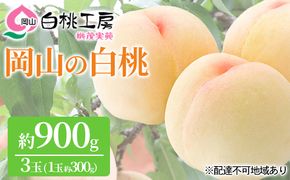 桃 2026年 先行予約 白桃 3玉 合計約900g（1玉約300g） もも モモ 岡山県産 国産 フルーツ 果物 ギフト 桃茂実苑 果肉 