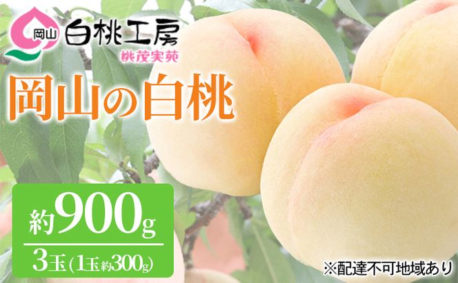 桃 2026年 先行予約 白桃 3玉 合計約900g（1玉約300g） もも モモ 岡山県産 国産 フルーツ 果物 ギフト 桃茂実苑 果肉 