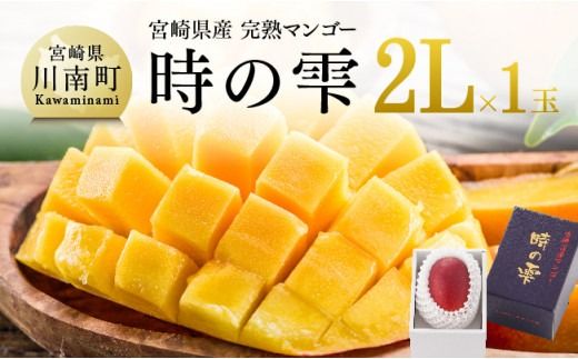 【令和７年発送】宮崎県産完熟マンゴー「時の雫」 2L×1玉【 果物 フルーツ マンゴー 宮崎県産 九州産 完熟マンゴー みやざきマンゴー 先行予約 数量限定 期間限定 】☆ [D08605]