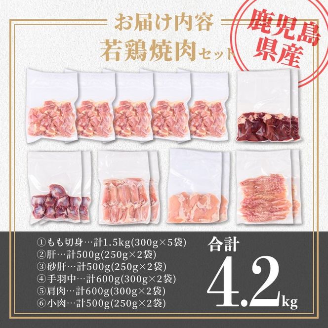 isa726 鹿児島県産 若鶏焼肉セット (合計4.2kg) 鹿児島県産 小分け 真空パック 鶏肉 鳥肉 もも肉 モモ肉 砂肝 肝 手羽中 肩肉 小肉 焼き肉 焼肉 セット 詰め合わせ 冷凍 【TRINITY】