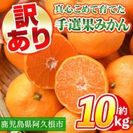 訳あり！鹿児島県産手選果みかん(計10kg) 国産 柑橘 果物 フルーツ ご家庭用 サイズ 不揃い【三笠農業生産】akn051-11