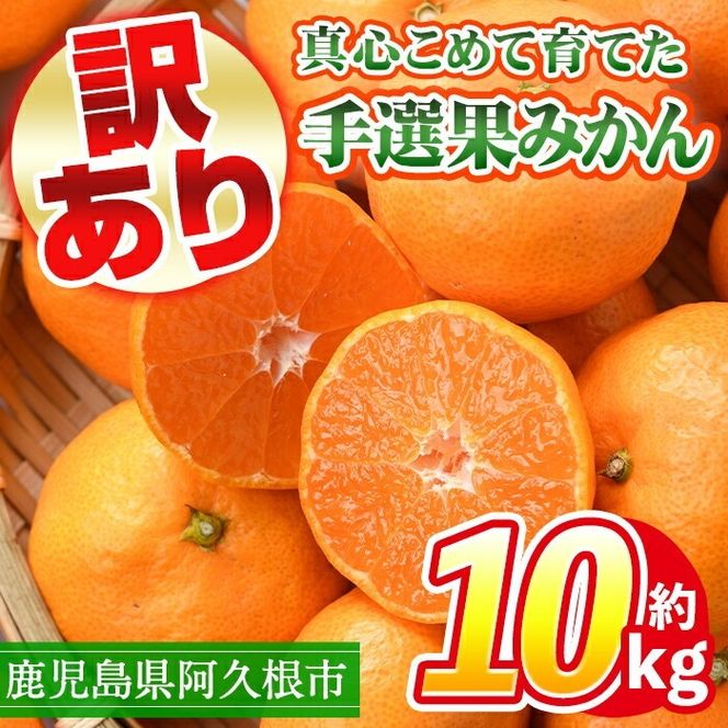 ＜先行予約受付中！2024年10月中旬以降順次発送予定＞訳あり！鹿児島県産手選果みかん(計10kg)国産 柑橘 果物 フルーツ ご家庭用 サイズ 不揃い【三笠農業生産】a-24-28-z