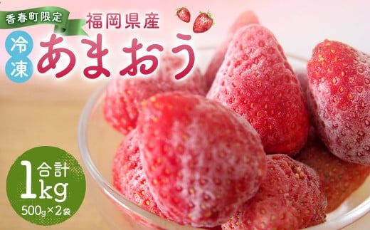 【香春町限定】 福岡県産 あまおう 冷凍 約1kg (500g×2袋)  特別栽培 【 数量限定 】【2025年4月下旬-11月下旬発送予定】いちご フルーツ 果物 国産 エコファーマー 苺 イチゴ ストロベリー デザート おやつ お取り寄せ