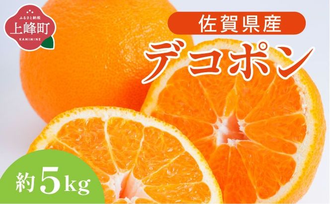 デコポン 約5kg D-669-RN