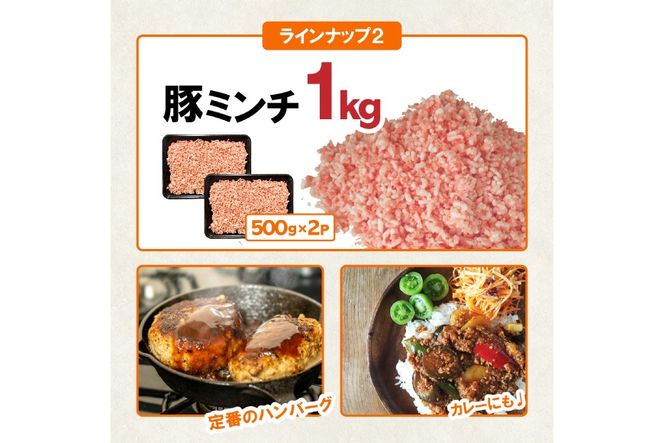 豚肉 宮崎県産豚肉 バラエティ セット 計4.5kg [南九フーズ 宮崎県 日向市 452061538] こま ミンチ 挽肉 ロース とんかつ しゃぶしゃぶ 生姜焼き 小分け