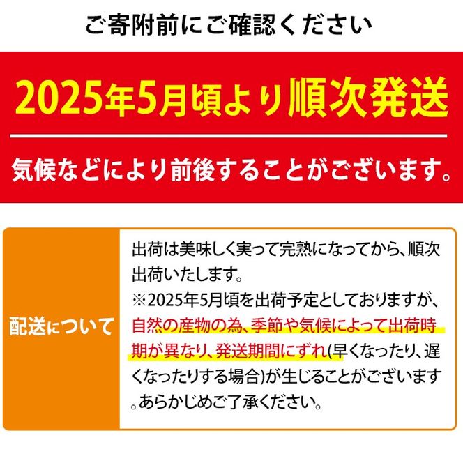 【0255911a】＜数量限定＞南国鹿児島県産の太陽の恵み！完熟マンゴー(計2.5kg以上・5-7個入り) 果物 フルーツ 果実 デザート 国産 冷蔵【東串良物産館ルピノンの里】