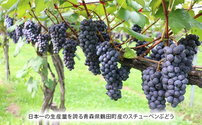 青森ぶどうじゅうす 1L×5本【青森県鶴田町産、ぶどう、スチューベン】 果汁飲料 ぶどうジュース 濃厚 果汁100％ 飲み物 ソフトドリンク フルーツジュース 