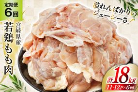 定期便 肉 鶏肉 6回定期便 若鶏もも身11〜2パック 計3kg [九州児湯フーズ 宮崎県 美郷町 31aj0060] 冷凍 小分け 個包装 鶏もも肉 もも肉 モモ肉