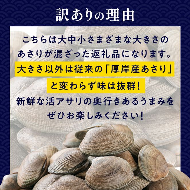 あさり 訳あり 北海道 厚岸産 砂出し済み 活あさり 500g×2 (合計1kg) 【厚岸海産】[ アサリ 魚貝 海鮮 大粒 美味しい 栄養 旨み 砂出し 水洗い 冷蔵 便利 ] 