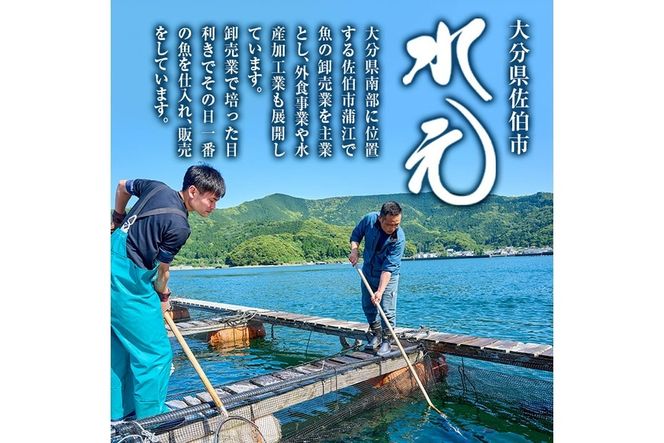 大分県産 ハマチ刺身セット (計400g・ハマチ100g×4皿、醤油ダレ30ml×4個) ハマチ 刺身 鮮魚 冷凍 養殖 国産 大分県 佐伯市【GO005】【(株)水元】