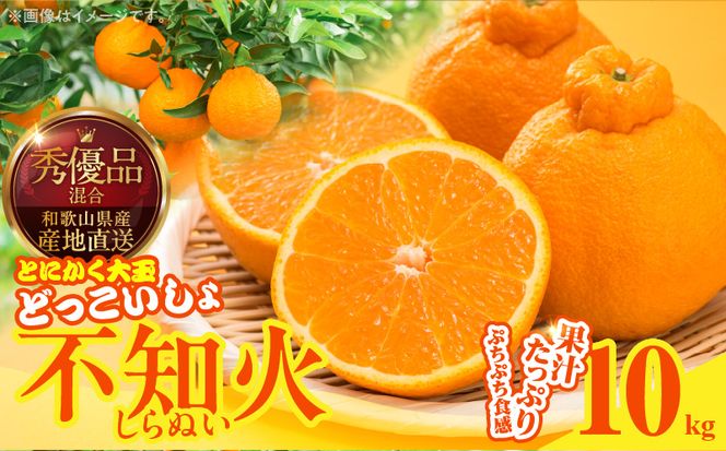 MK1012_不知火 (しらぬい) とにかく大玉 どっこいしょ 箱込 10kg (内容量約 9.2kg) 秀品 優品 混合