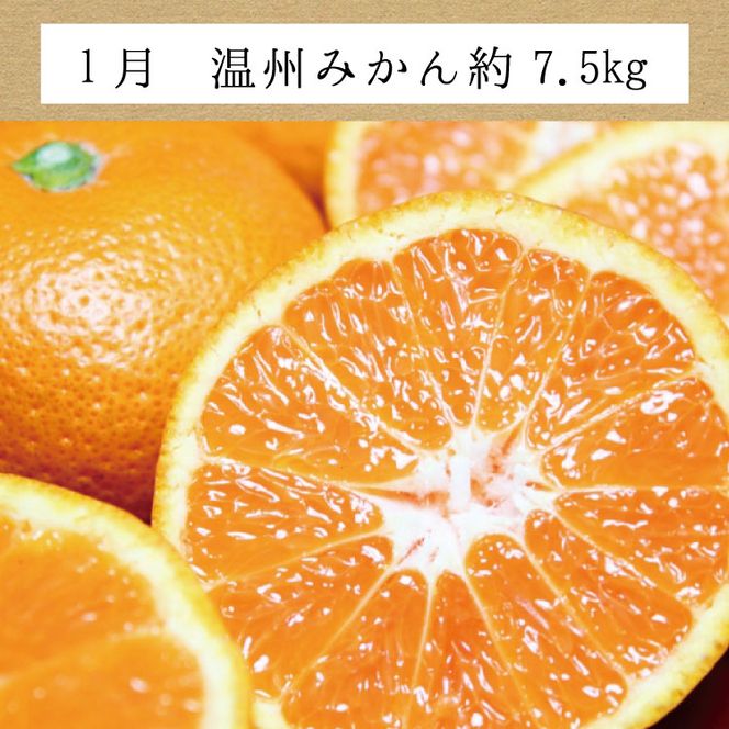 【3か月定期便】たっぷり届く♪訳ありみかんの定期便　温州みかん・不知火・清見オレンジ【tkb113】