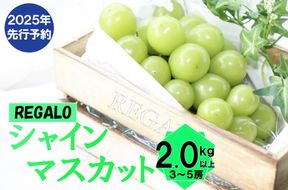 【2025年発送分 先行予約】頬張る幸福感　～緑の宝石・シャインマスカット～　２ｋｇ以上（３～５房） フルーツ 山梨県産 果物 シャイン マスカット ぶどう ブドウ 大粒 種なし 種無し 先行予約 富士川町