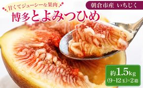 いちじく 博多 とよみつひめ 1.5kg 2027年 発送 柔らかな食感 高い糖度 あふれる果汁 筑前あさくら農協 配送不可 離島※オンライン決済