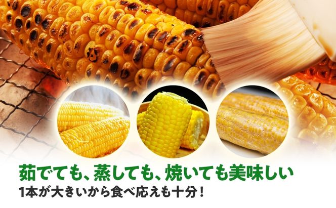  北海道産 スイート コーン めぐみゴールド 2Lサイズ 20本 先行受付 2026年8月上旬～下旬頃お届け とうもろこし 恵味 めぐみ トウモロコシ 旬 完熟 朝もぎ 野菜 産地直送 お取り寄せ 北海道 丸田農園 洞爺湖 