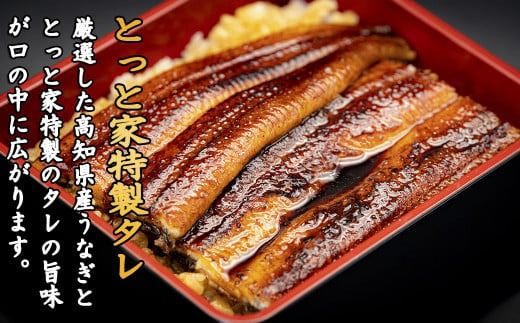 【高知満喫定期便】厳選!!藁焼きかつおのタタキ 2節と高知県産うなぎの蒲焼き 2尾セット×3回定期便 かつお タタキ うなぎ 蒲焼き 高知名物 ふるさと納税 返礼品 定期便 藁焼き 特製ポン酢 清流 職人 手作り グルメ 味覚 旬 鰹 鰻 うなぎのタレ 高知県 特産品 名産 魚 海鮮 家庭用 ギフト 贈答用 お取り寄せ 安芸市 高知県