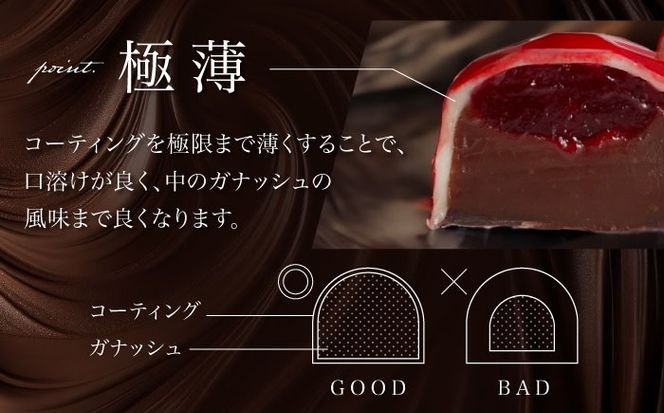 【2026年2月～発送】ボンボンショコラ 15個入り / チョコ チョコレート お菓子 バレンタイン / 南島原市 / 本田屋かすてら本舗 [SAW033]