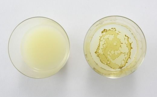 プロポリスエキス 約30ml グリーンプロポリス プロポリス 健康 栄養 加工品 常温