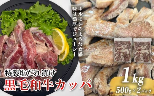 黒毛和牛カッパ（肉ホルモン） 特製塩だれ漬け 500g × 2パック 